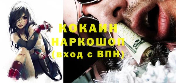 гидра Кохма